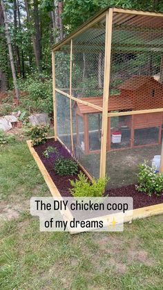 the diy chicken coop is full of my dreams and i'm not sure what to do