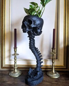 there is a fake skeleton with a plant in it's head next to two candles