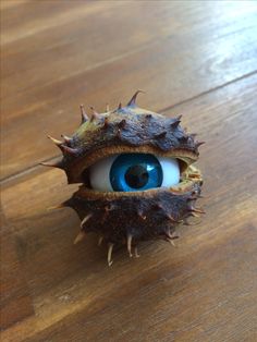 a close up of an animal's eye with spikes on it, sitting on a wooden surface