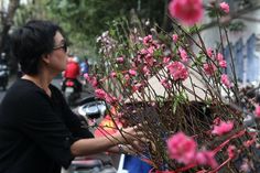 a woman standing next to a tree with pink flowers on it's branches in front of a motorcycle