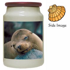 an image of a sea lion on a jar