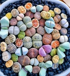 a pot filled with lots of different colored rocks