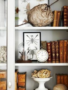 a white book shelf filled with lots of books and knick - knacks