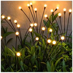 some lights that are on the side of a building in front of grass and plants