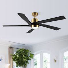 a ceiling fan in a living room with a potted plant on the table next to it