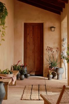 an entry way with potted plants on the floor