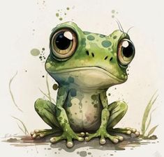 a green frog with big eyes sitting on the ground