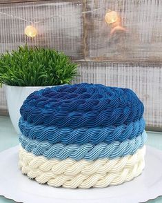 a blue and white cake sitting on top of a plate next to a potted plant