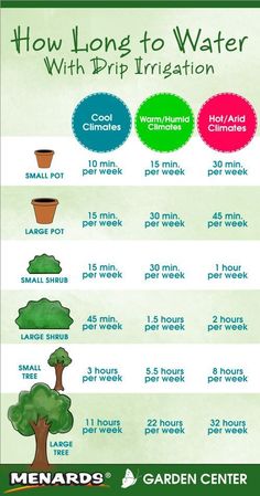 a poster showing how long to water with drippirification and the different types of trees