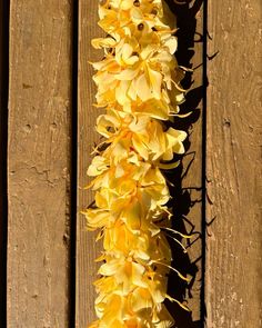 yellow flowers are growing on the side of a wooden fence