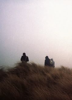 three people sitting on top of a tall grass covered hill with a kite flying in the sky