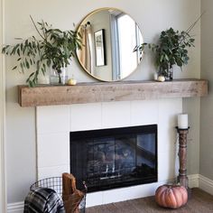 a living room with a fireplace, mirror and potted plants on the mantel