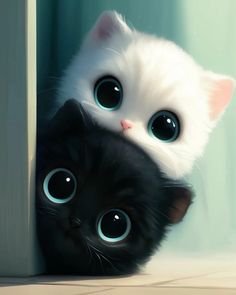 two black and white kittens with big blue eyes peeking out from behind a wall