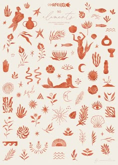 an orange and white poster with different types of plants, animals and other things on it