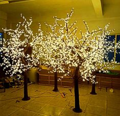 three trees with white lights on them in a room