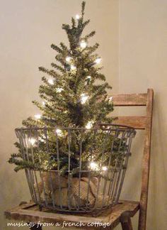 a small christmas tree in a basket on top of a wooden chair next to a wall