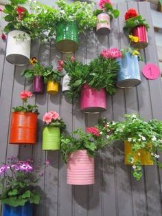 colorful flower pots hanging on the side of a wooden wall with flowers growing in them