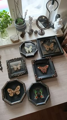 there are many small trays on the table with decorative items in them, including butterflies