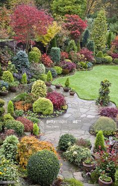 a garden filled with lots of different types of trees and shrubs in the middle of it