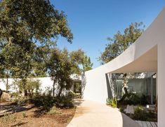 an exterior view of a white building with trees in the foreground and walkway leading up to it