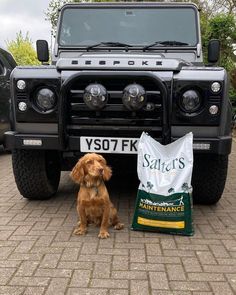 a brown dog sitting next to a bag of food and a black truck in the background