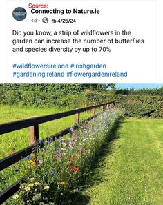 an image of a field with flowers growing on the fence and in the background, there is a twitter post about wildflowers