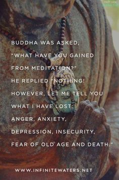 the buddha was asked what have you came from meditation?