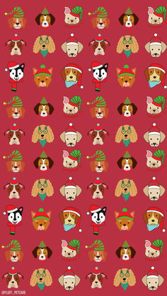 a red background with dogs wearing christmas hats