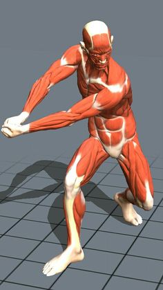 Twisting Figure Reference, Battle Stance Pose Reference, Swordfighting Reference, Learn To Draw People, Human Body Drawing, Anatomy Sculpture, Action Pose Reference, Human Body Anatomy, Draw People