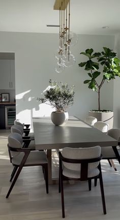 a dining room table with chairs and a potted plant in the center on one side