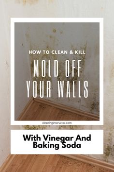 moldy walls with vinegar and baking soda on the floor in front of an image that says how to clean & kill mold off your walls