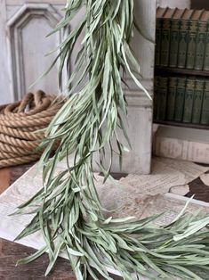 an olive branch hanging from a rope on top of a wooden table next to books