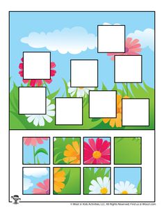 an image of flowers and frames on a blue sky background