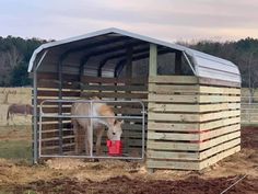 a horse is standing in its stall with the door open and it's head sticking out