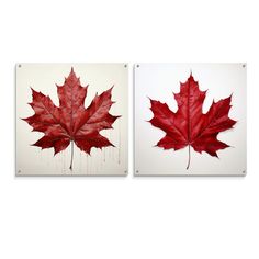 two red maple leaves are hanging on the wall in front of each other, and one is