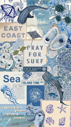 a collage of blue and white images with sea animals, seashells, and words