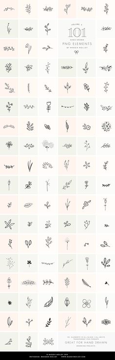 the different types of flowers are shown in black and white