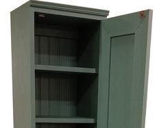 an open green cabinet with two doors and shelves