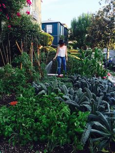 a woman watering her garden in the middle of some bushes and plants with water coming out of it