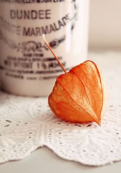 an orange heart shaped leaf sitting on top of a doily next to a coffee cup