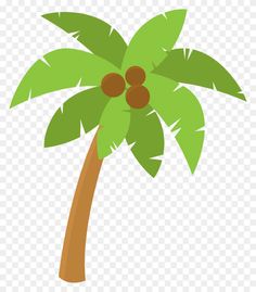 a palm tree with leaves and fruit on it, transparent background png clipart