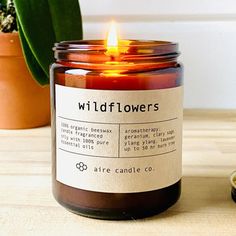 a candle sitting on top of a table next to a potted plant