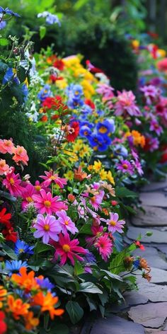 colorful flowers line the side of a brick walkway