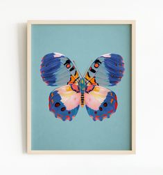 a colorful butterfly on a blue background framed in a wooden frame with a white wall behind it