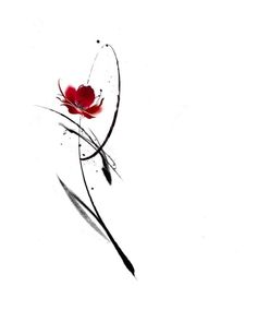 a red flower on a white background with some black lines in the bottom right corner