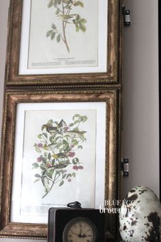 two framed pictures with flowers on them next to a clock and an egg sitting on a shelf