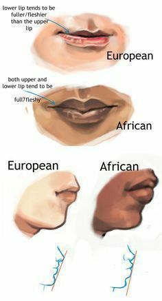 four different types of lips with the names of each lip and their location in them