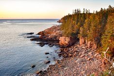 a rocky shore with trees and water at sunset