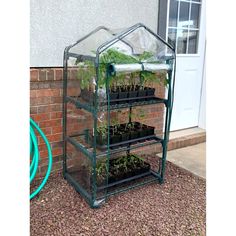 a small greenhouse with plants growing in it