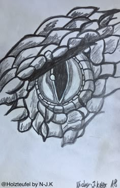 a pencil drawing of a snake's eye